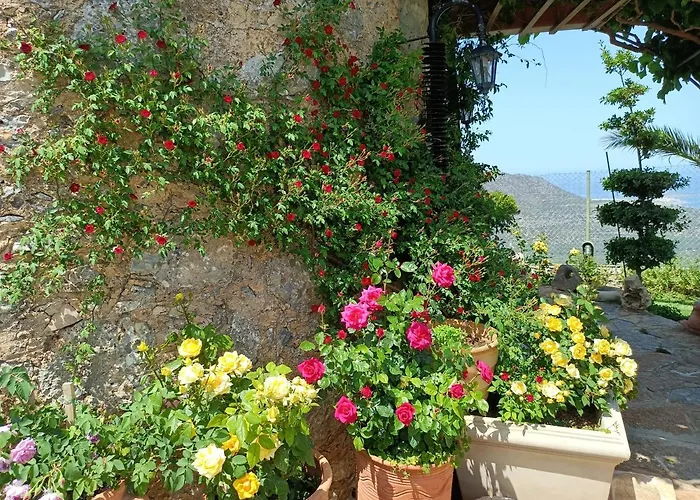 Traditional Windmill-Milos