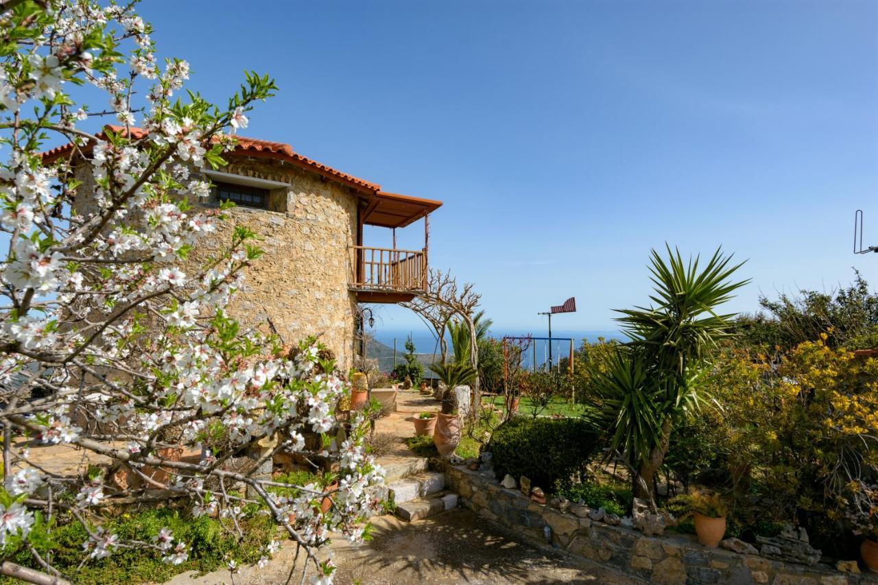 Traditional Windmill-milos Holiday home *