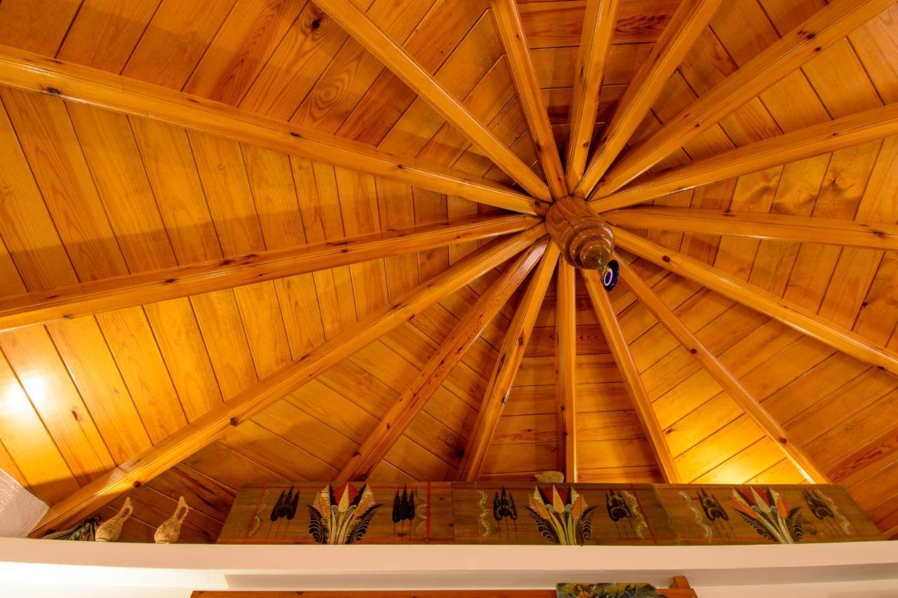 Traditional Windmill-milos Holiday home *