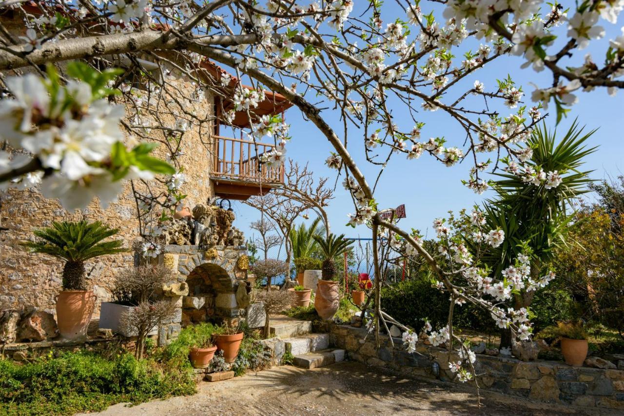 Traditional Windmill-milos Σπίτι διακοπών *