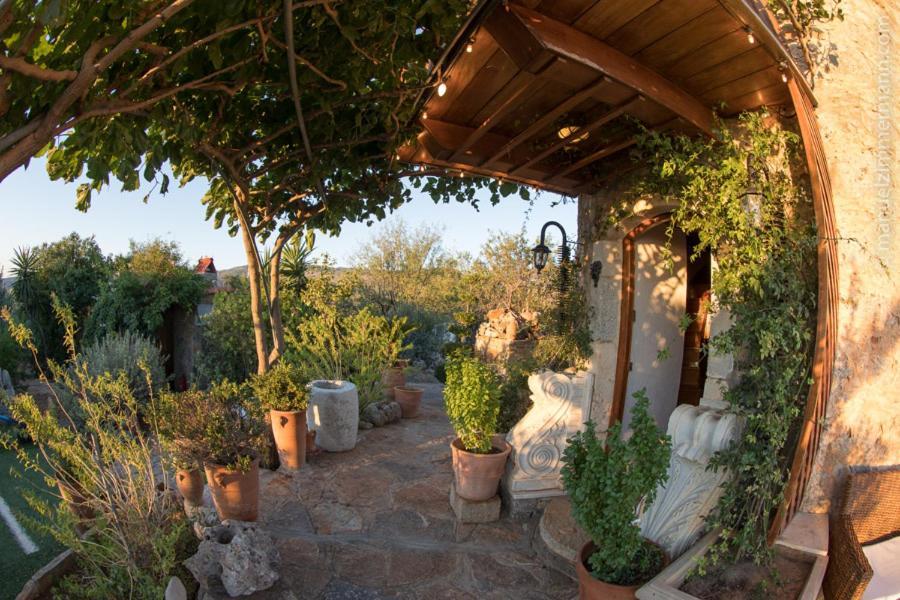 Traditional Windmill-milos