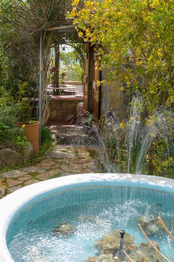 Traditional Windmill-milos Holiday home *
