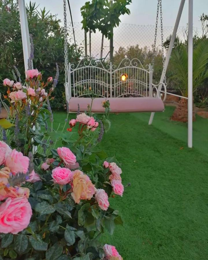 Traditional Windmill-milos *