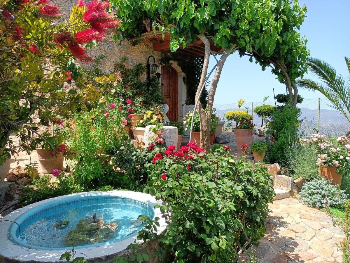 Traditional Windmill-milos Holiday home