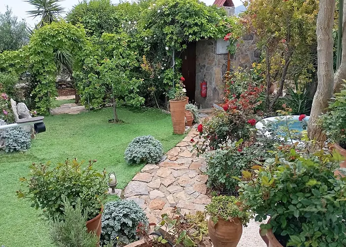 Traditional Windmill-Milos