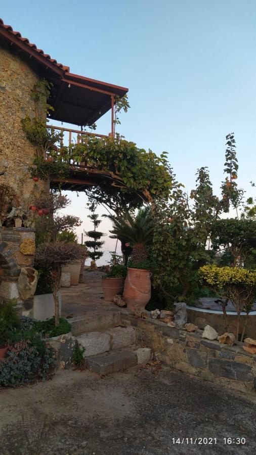 Traditional Windmill-milos Ferienhaus